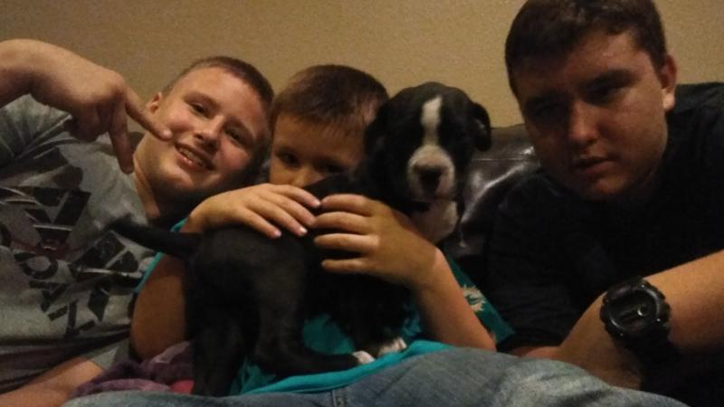 ROAD DOGS FOR LIFE