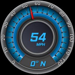 Blue SS Speedo