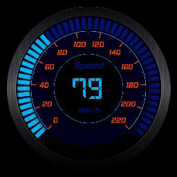 Polyak Speedo